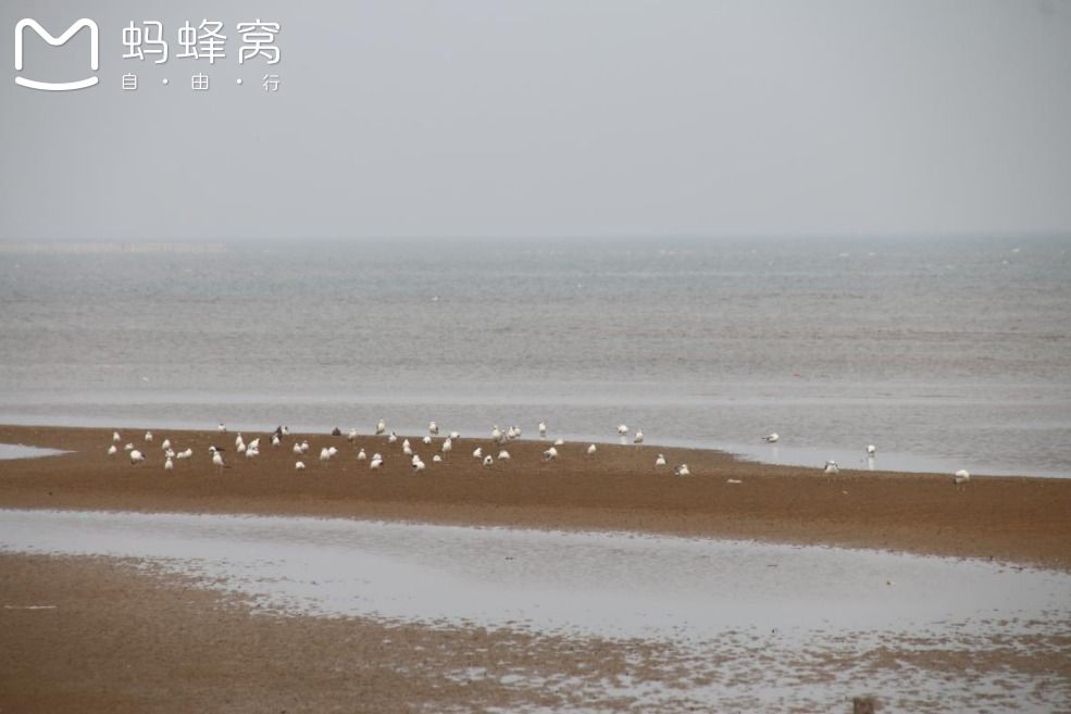 豐寧壩上草原,豐寧京北草原