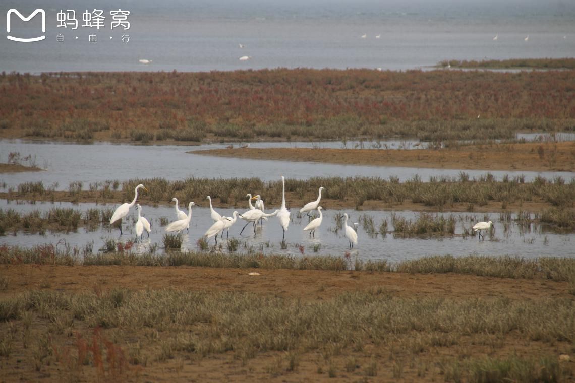 豐寧壩上草原,豐寧京北草原