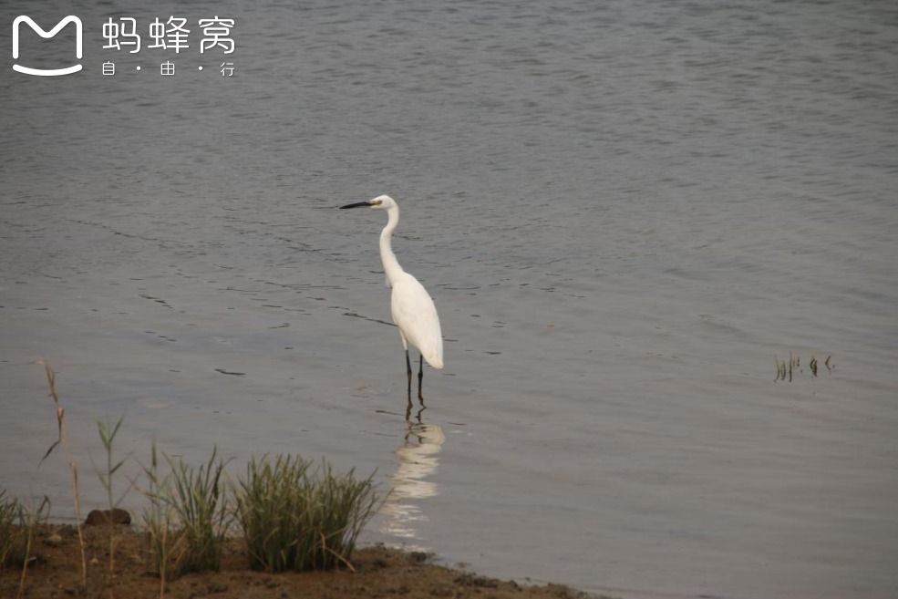 豐寧壩上草原,豐寧京北草原