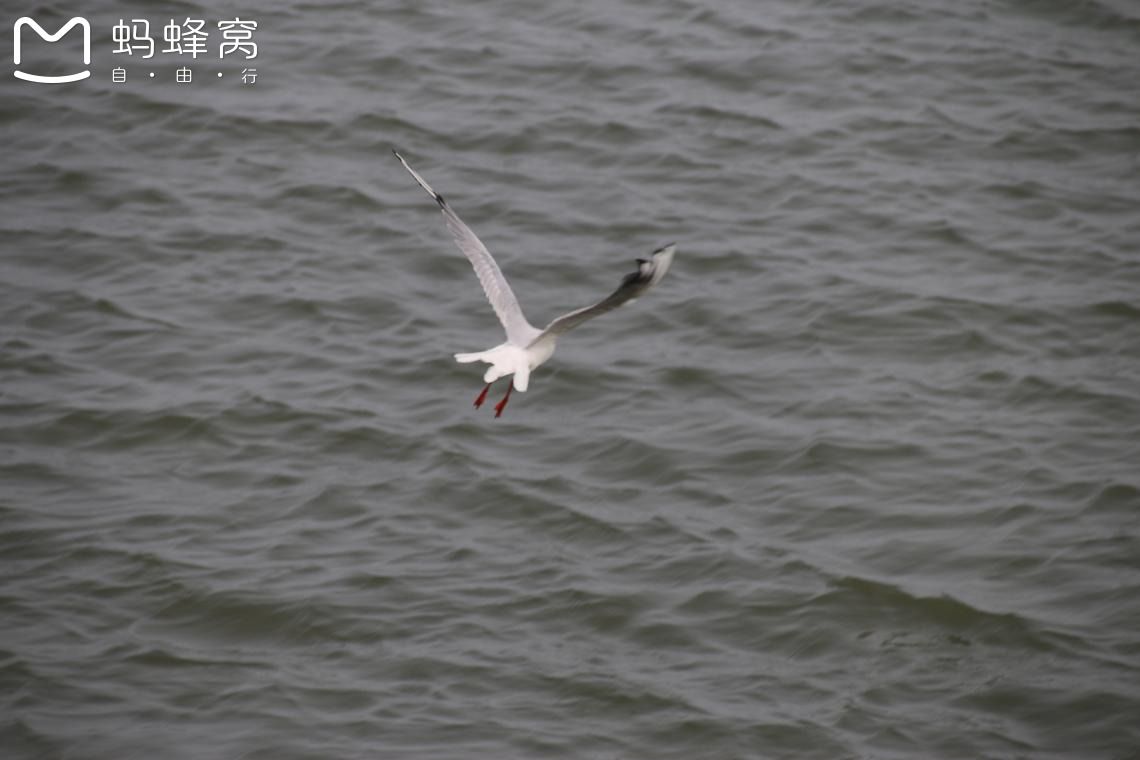 豐寧壩上草原,豐寧京北草原