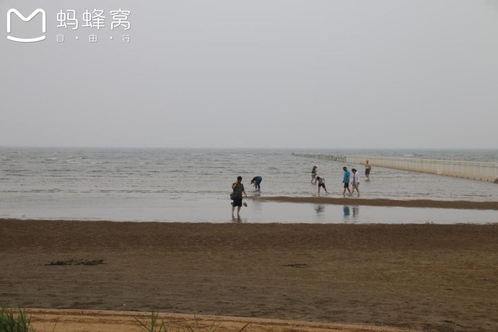 豐寧壩上草原,豐寧京北草原