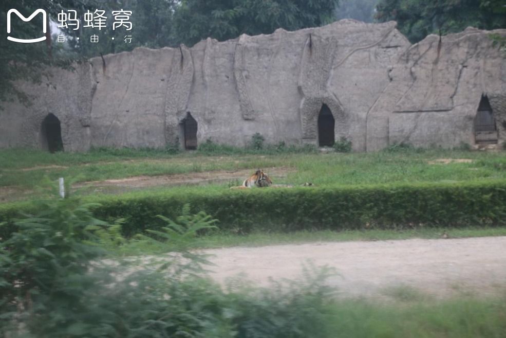 豐寧壩上草原,豐寧京北草原