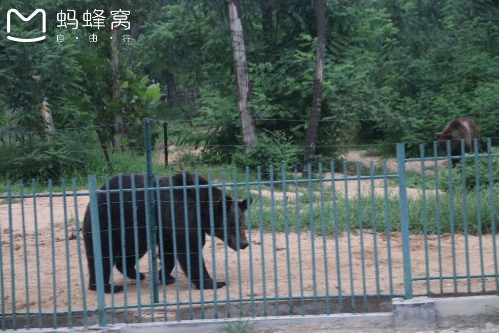 豐寧壩上草原,豐寧京北草原