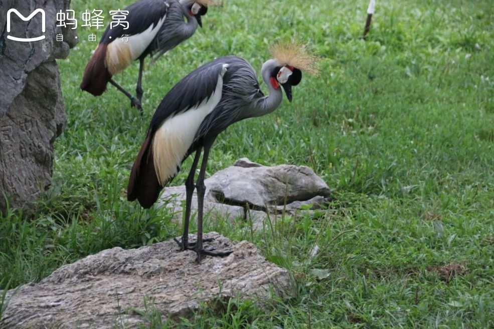 豐寧壩上草原,豐寧京北草原