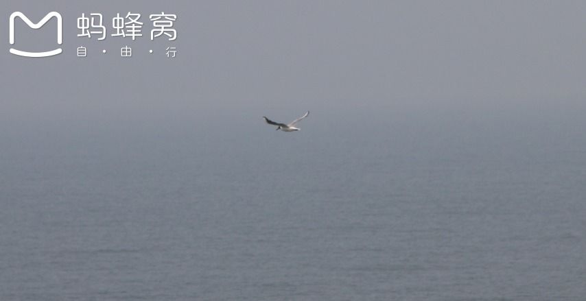 豐寧壩上草原,豐寧京北草原