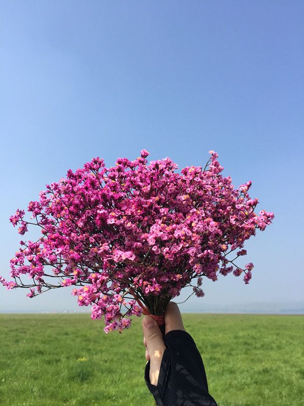 豐寧壩上草原,豐寧京北草原