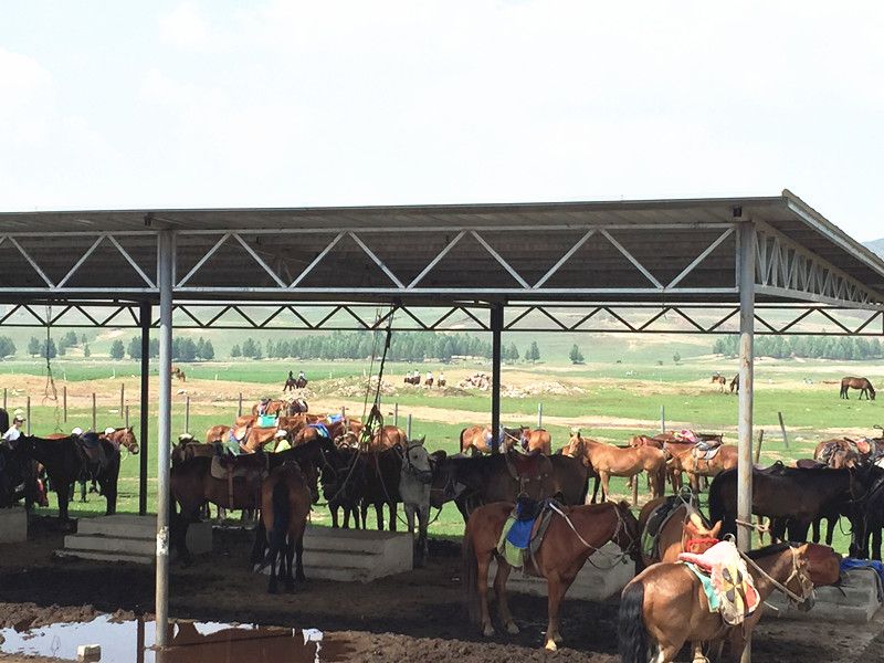 豐寧壩上草原,豐寧京北草原