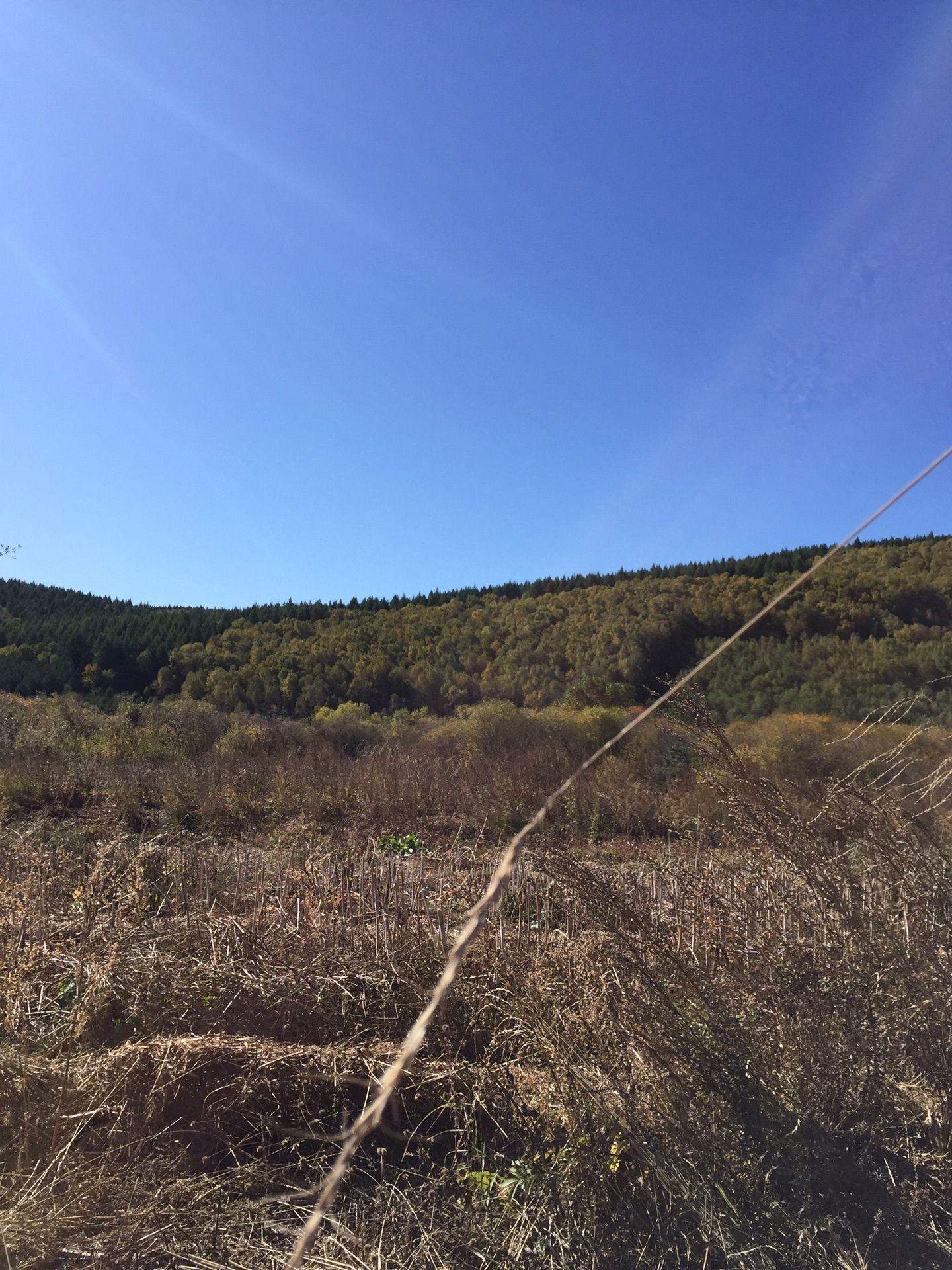 豐寧壩上草原,豐寧京北草原