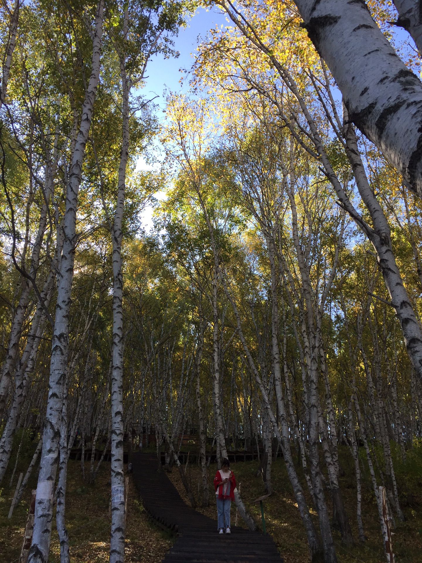 豐寧壩上草原,豐寧京北草原