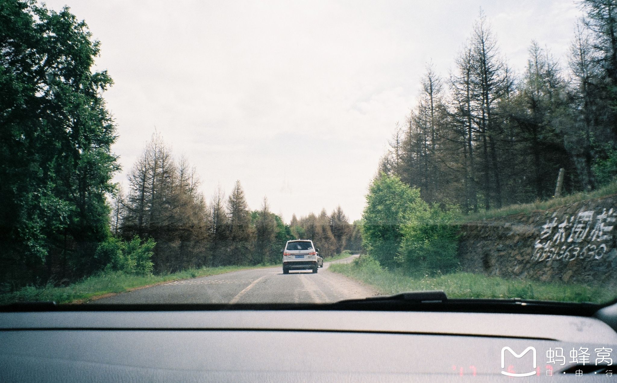 豐寧壩上草原,豐寧京北草原