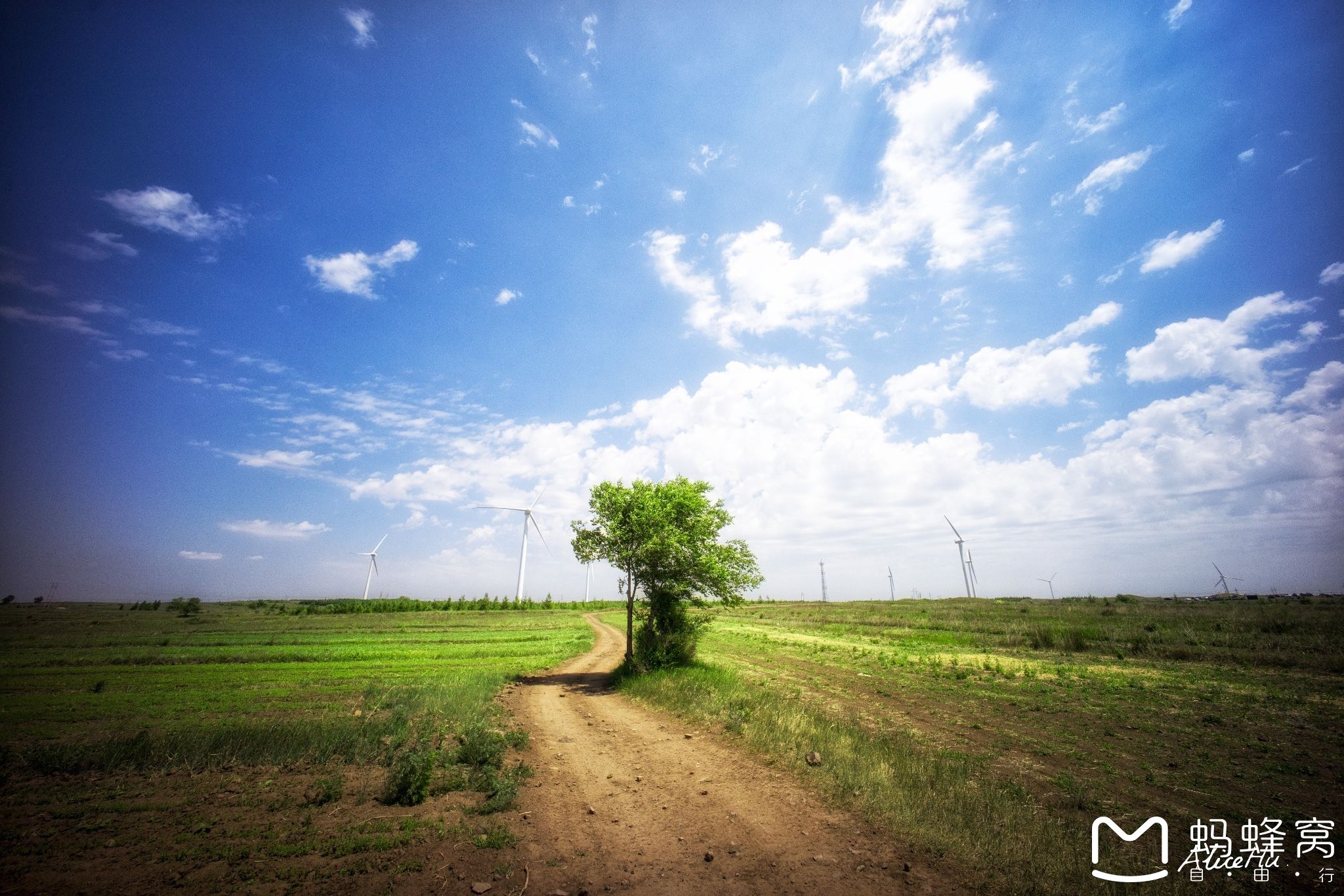 豐寧壩上草原,豐寧京北草原