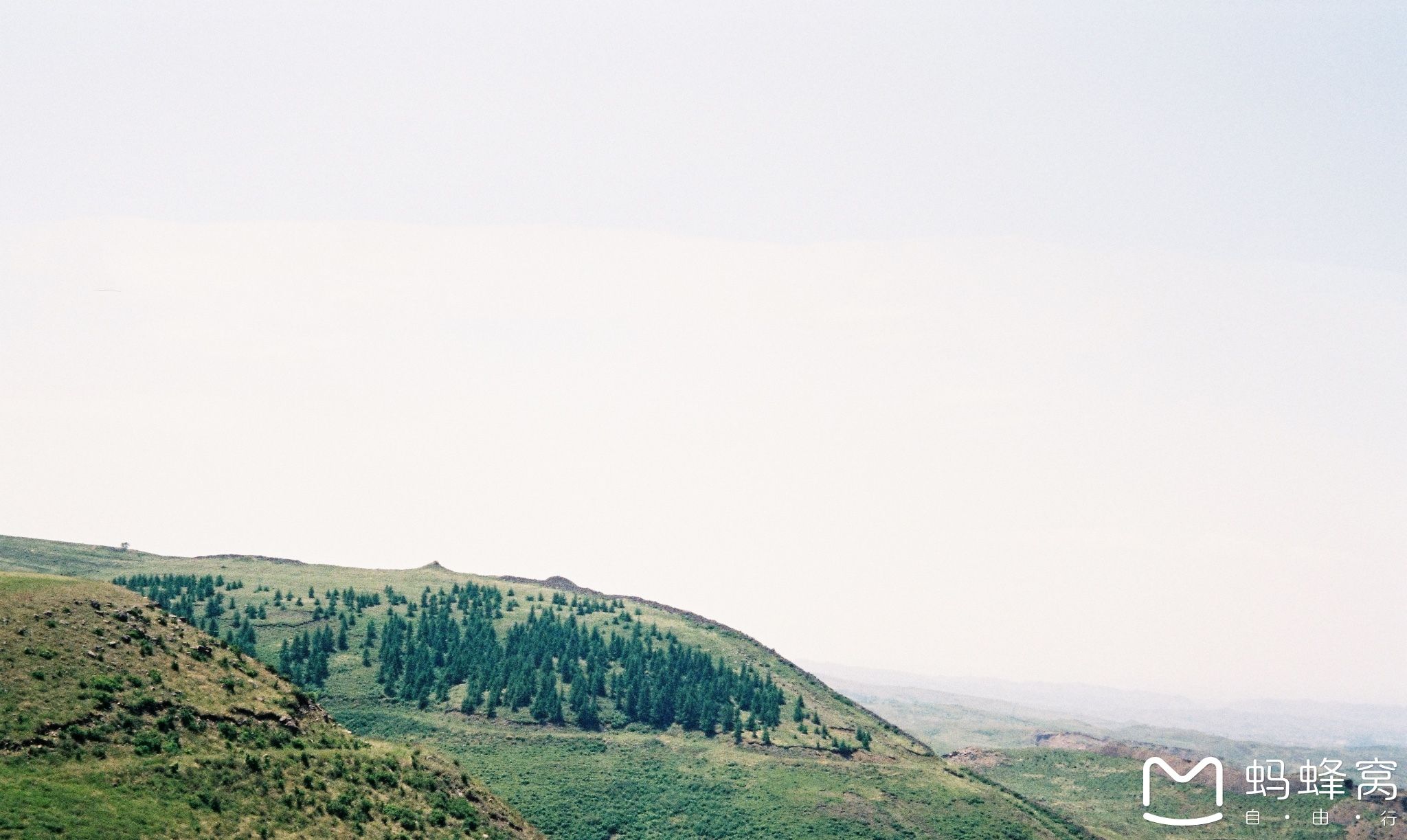 豐寧壩上草原,豐寧京北草原