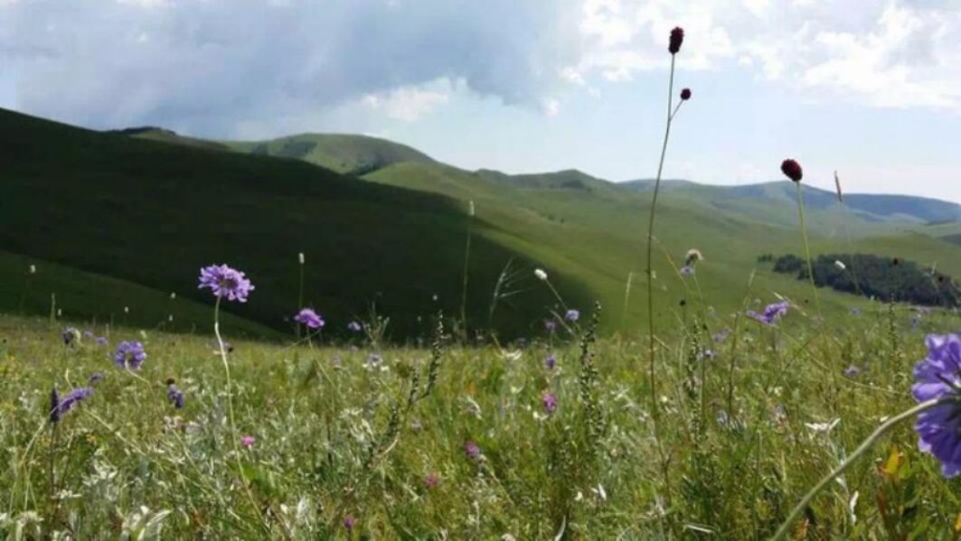 豐寧壩上草原,豐寧京北草原