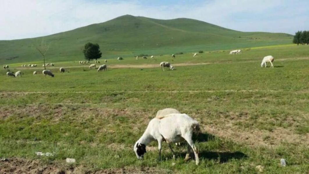 豐寧壩上草原,豐寧京北草原