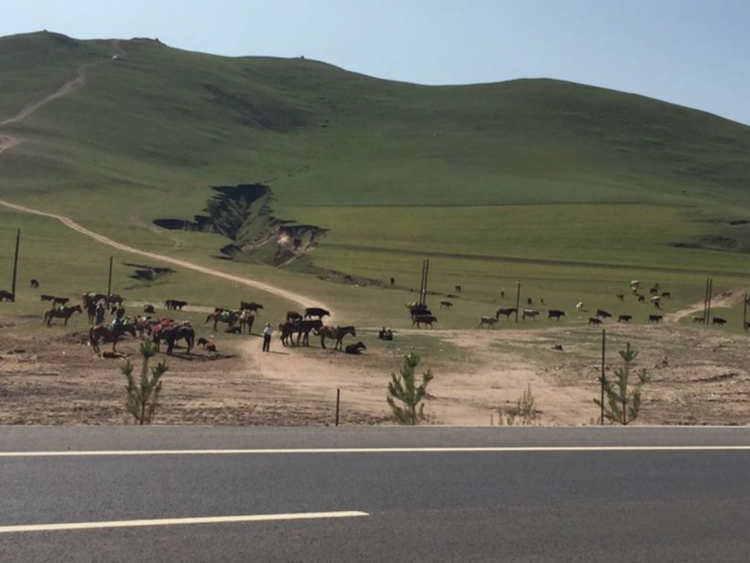 豐寧壩上草原,豐寧京北草原