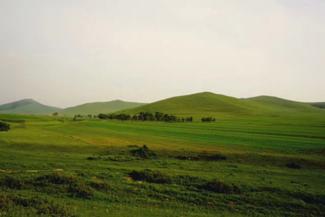 豐寧壩上草原,豐寧京北草原