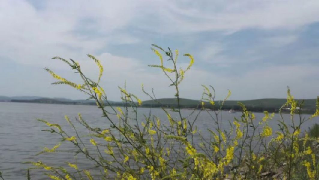 豐寧壩上草原,豐寧京北草原