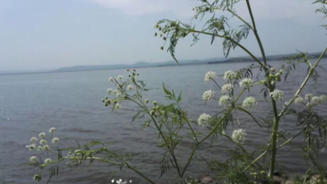 豐寧壩上草原,豐寧京北草原