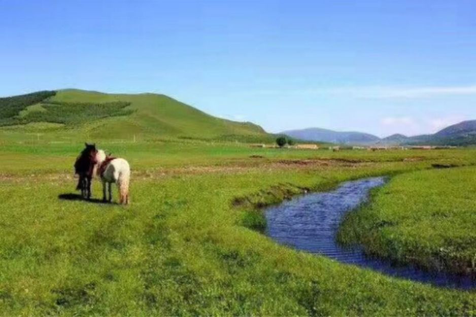 豐寧壩上草原,豐寧京北草原
