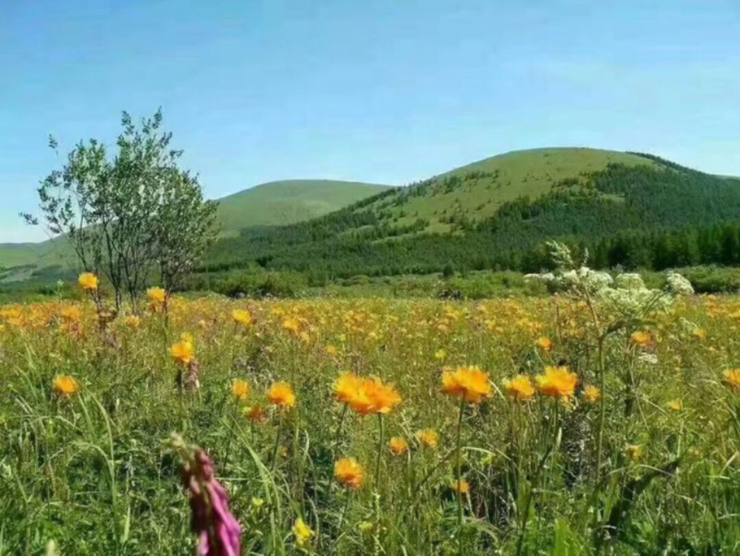 豐寧壩上草原,豐寧京北草原