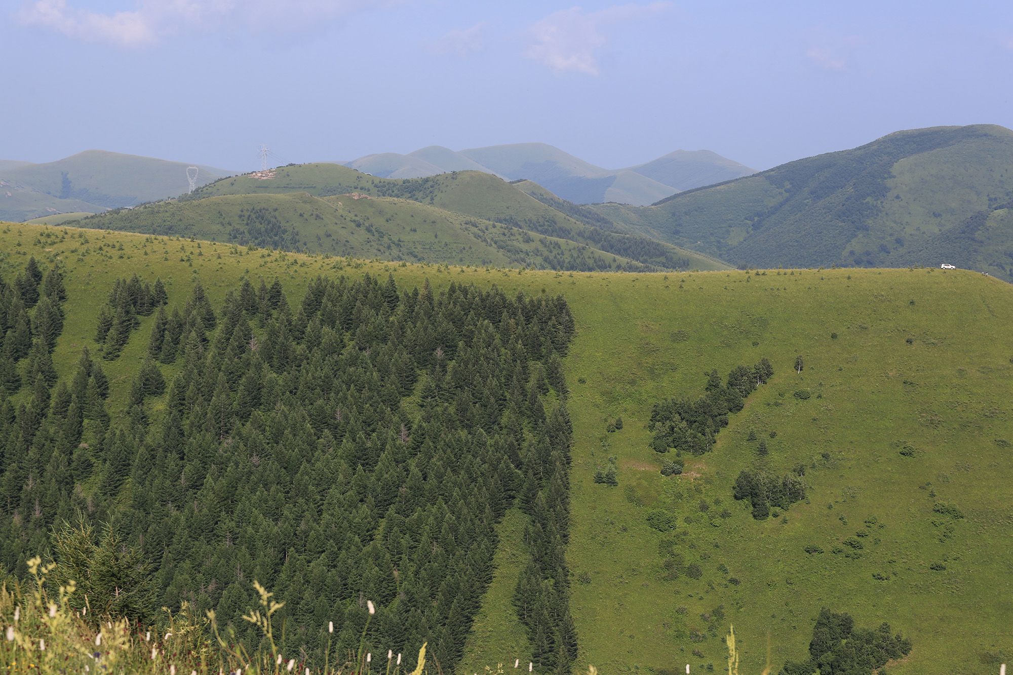 豐寧壩上草原,豐寧京北草原