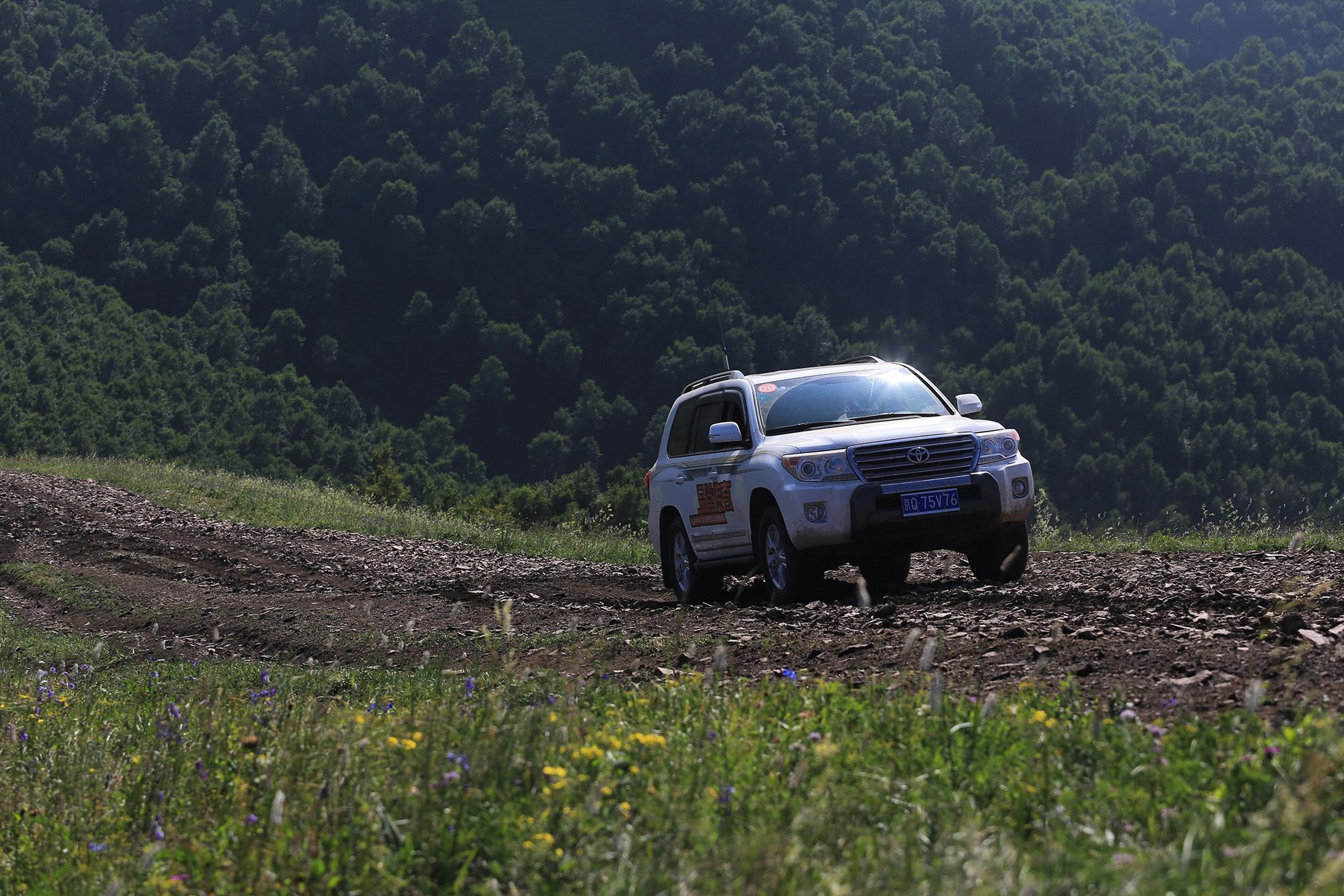 豐寧壩上草原,豐寧京北草原