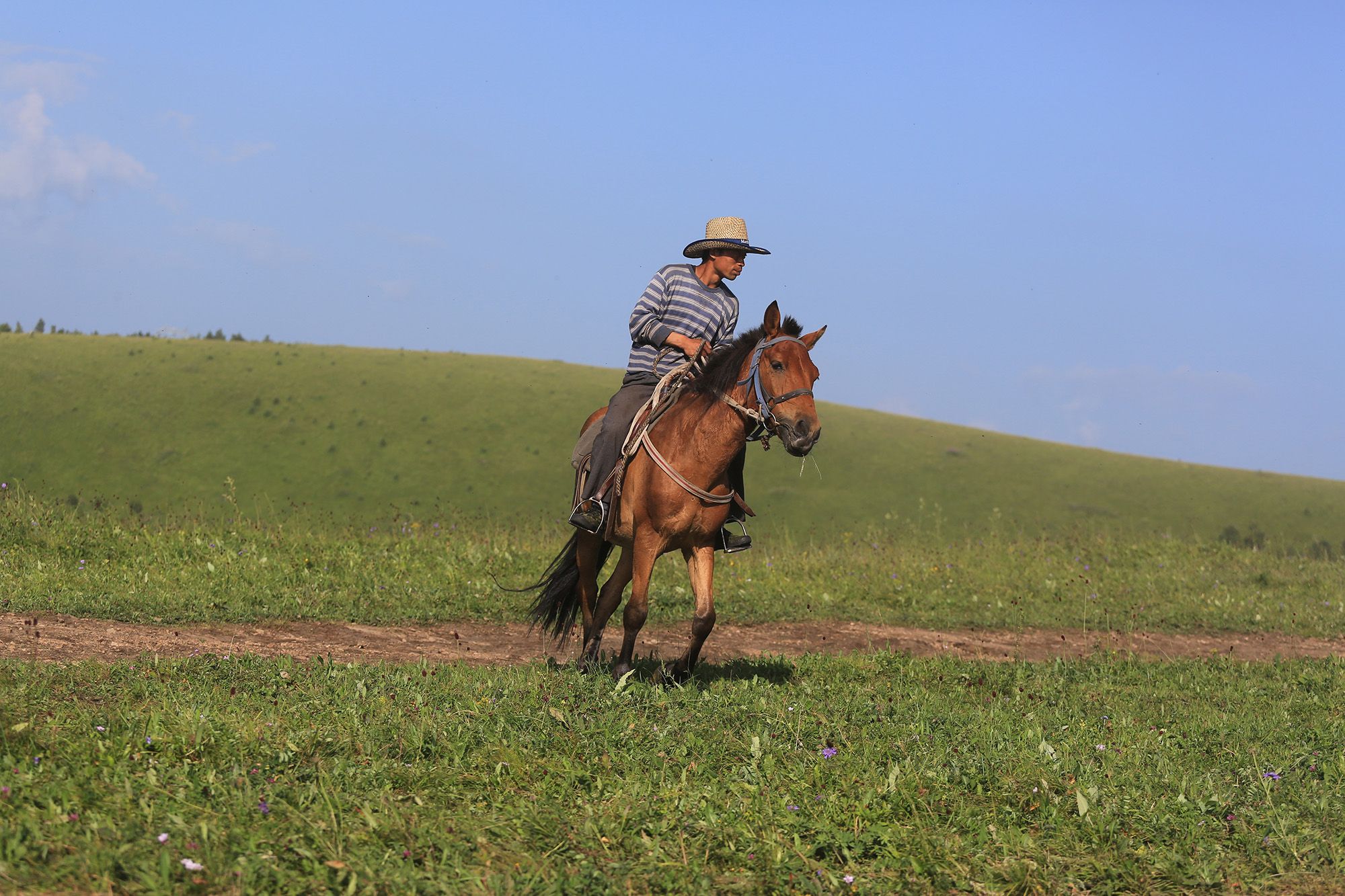 豐寧壩上草原,豐寧京北草原