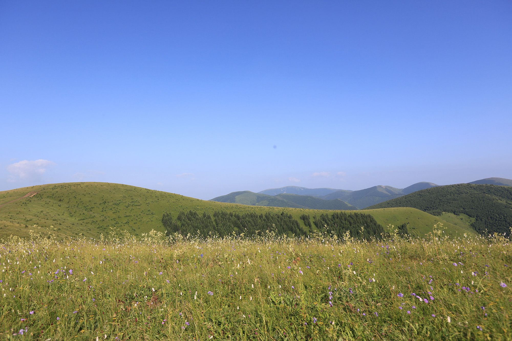 豐寧壩上草原,豐寧京北草原