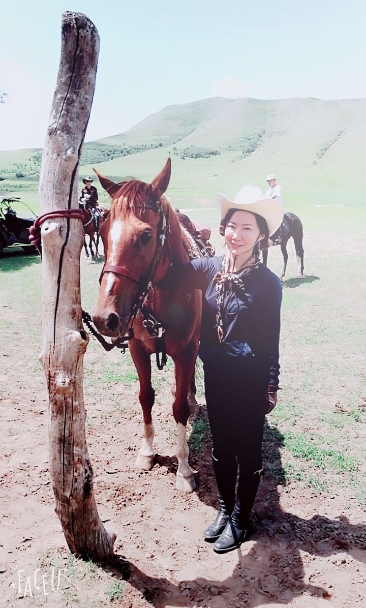 豐寧壩上草原,豐寧京北草原