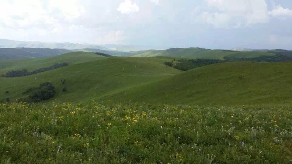 豐寧壩上草原,豐寧京北草原