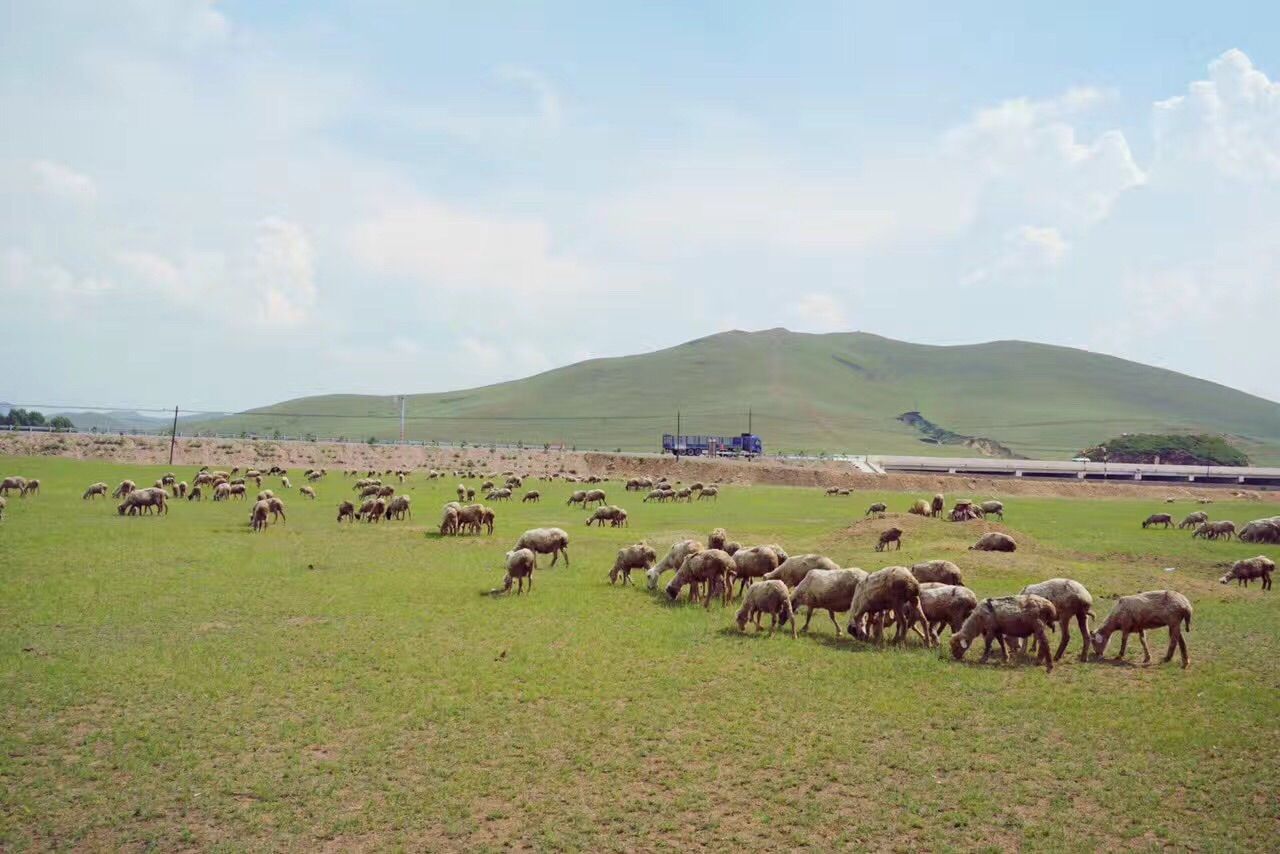 豐寧壩上草原,豐寧京北草原