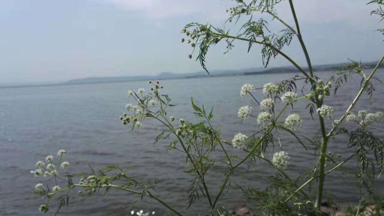 豐寧壩上草原,豐寧京北草原