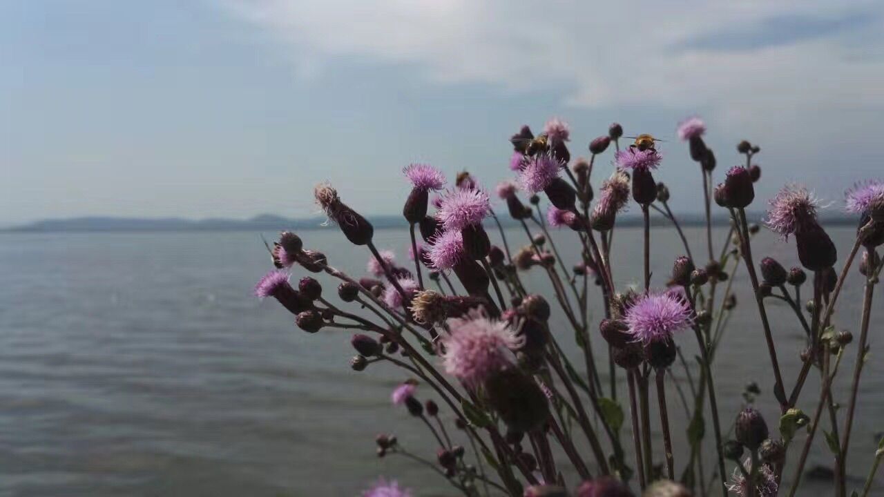 豐寧壩上草原,豐寧京北草原