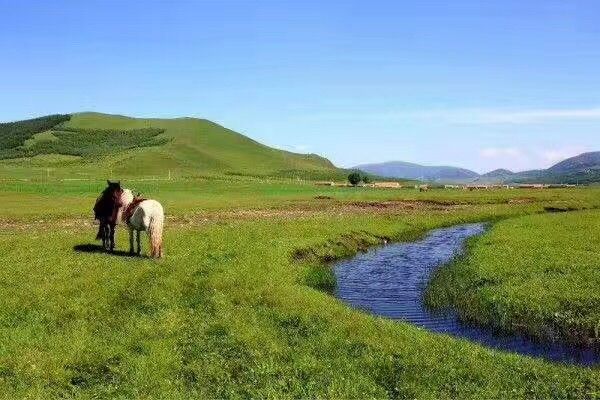 豐寧壩上草原,豐寧京北草原