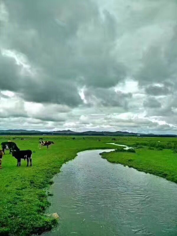 豐寧壩上草原,豐寧京北草原