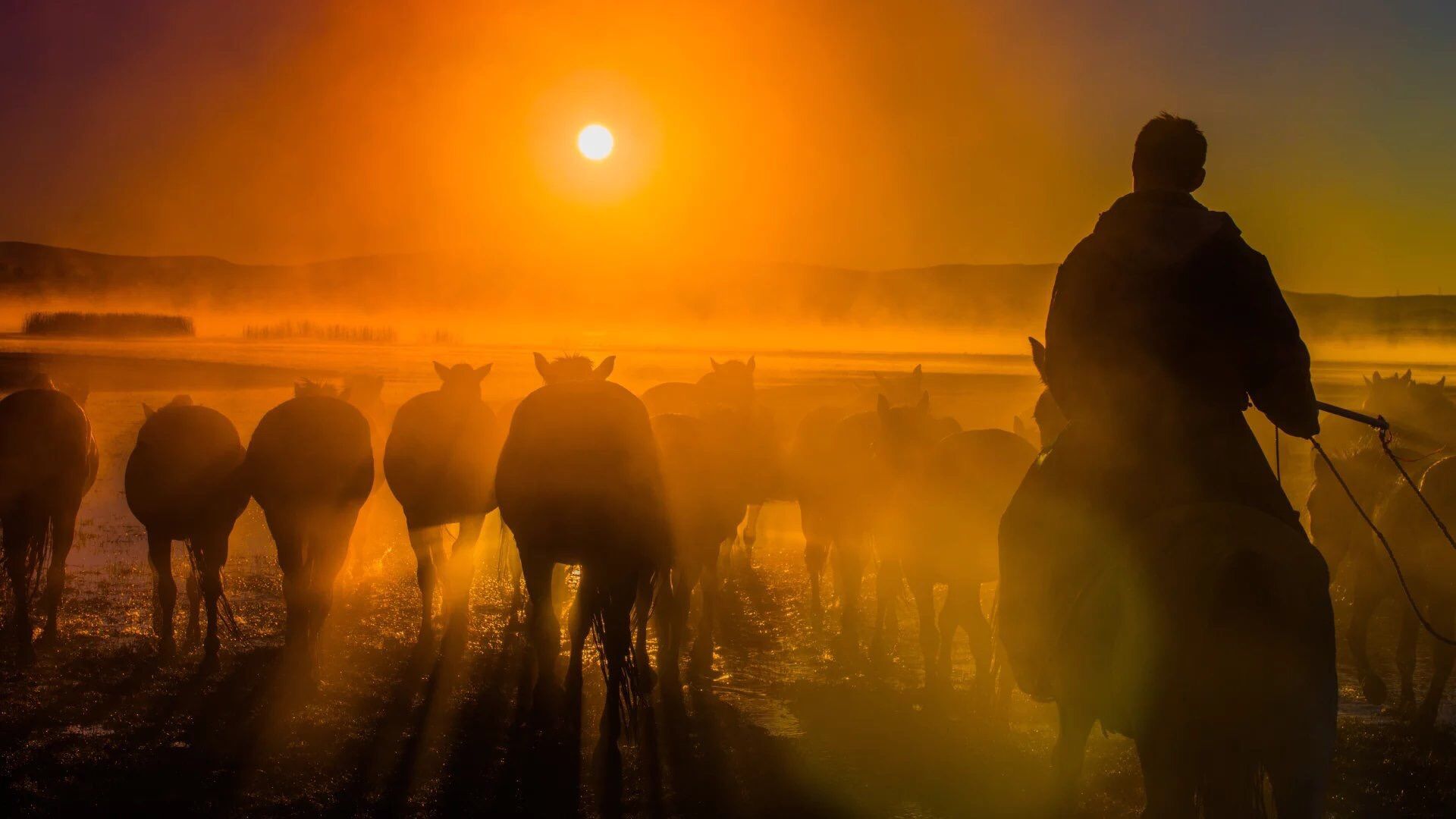 豐寧壩上草原,豐寧京北草原