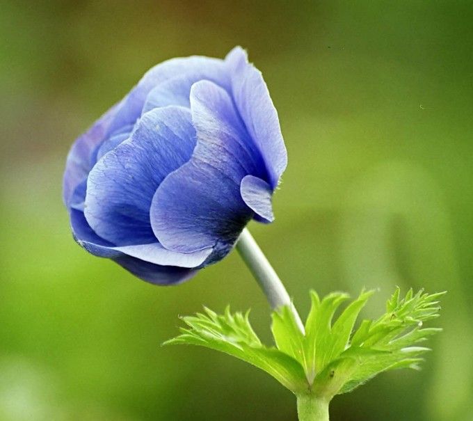 豐寧壩上草原,豐寧京北草原