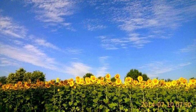 豐寧壩上草原,豐寧京北草原
