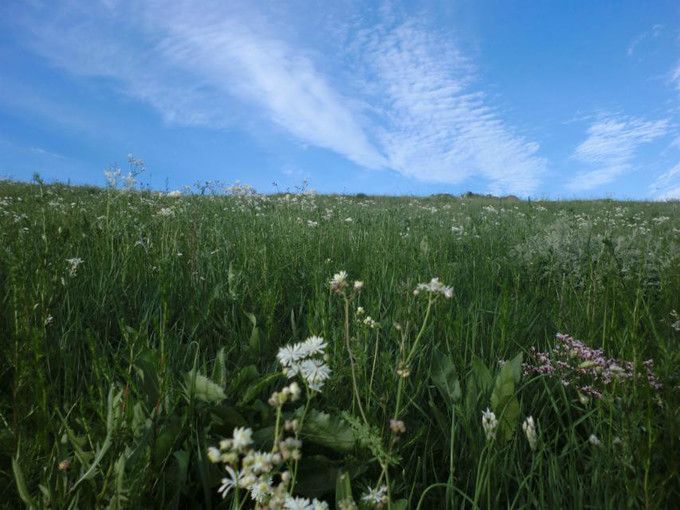 豐寧壩上草原,豐寧京北草原