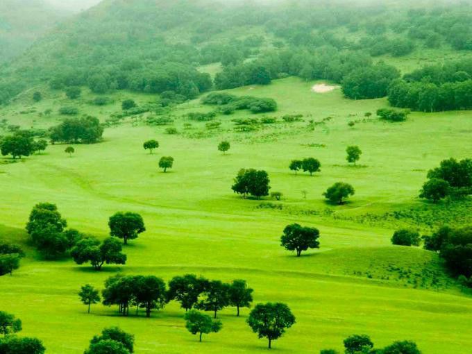 豐寧壩上草原,豐寧京北草原