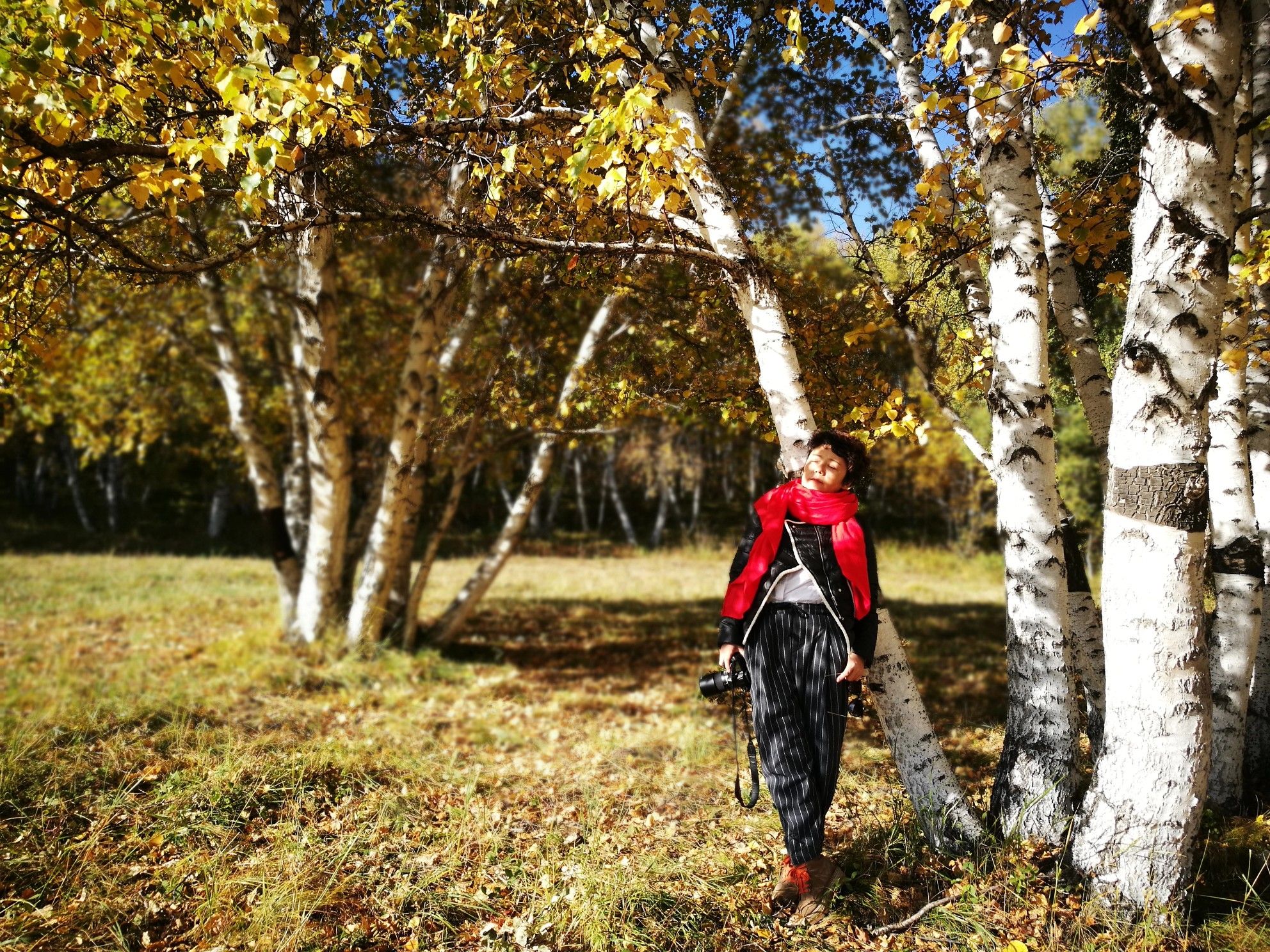 豐寧壩上草原,豐寧京北草原