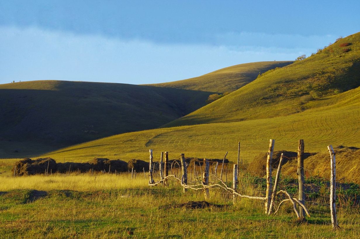 豐寧壩上草原,豐寧京北草原