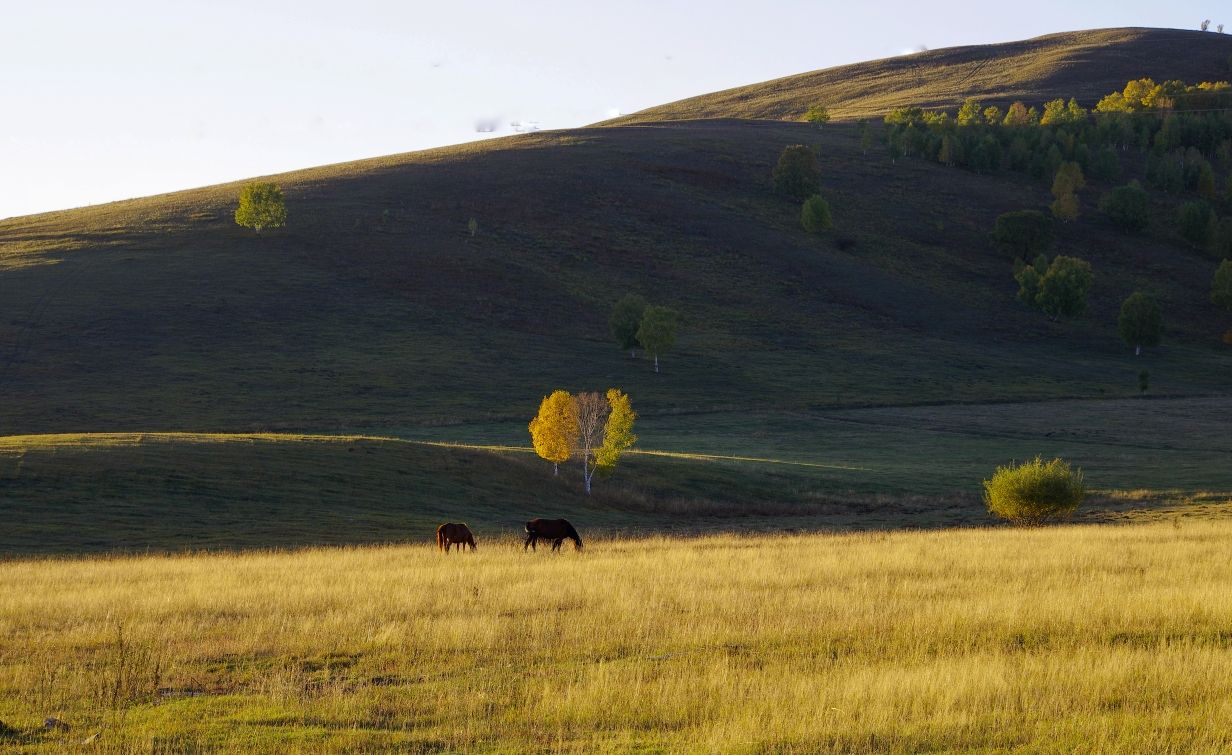 豐寧壩上草原,豐寧京北草原