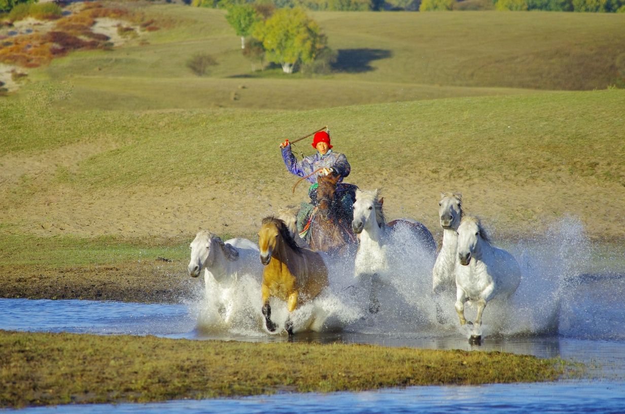 豐寧壩上草原,豐寧京北草原