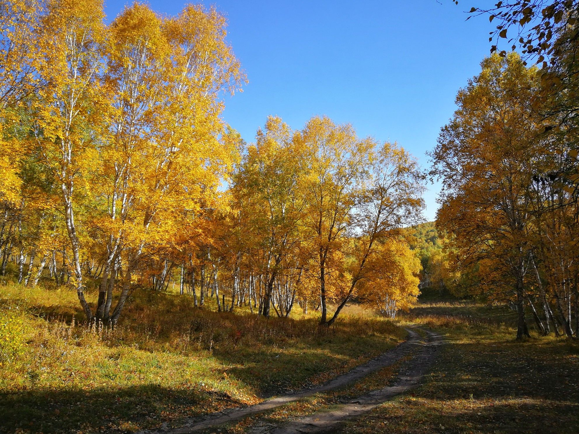 豐寧壩上草原,豐寧京北草原