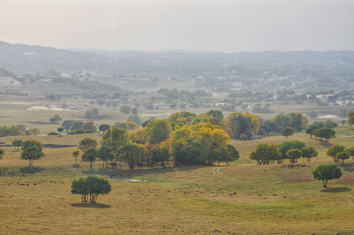 豐寧壩上草原,豐寧京北草原