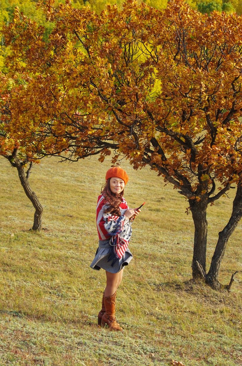 豐寧壩上草原,豐寧京北草原