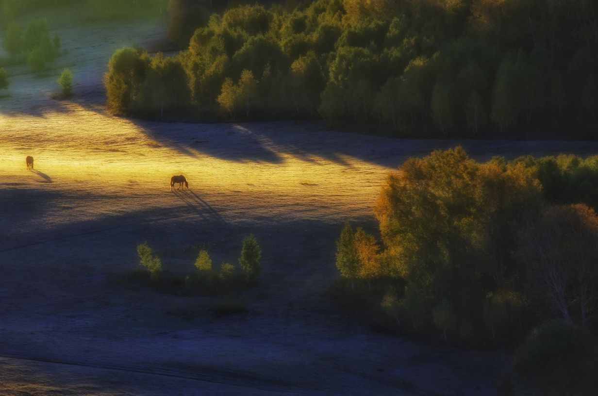豐寧壩上草原,豐寧京北草原