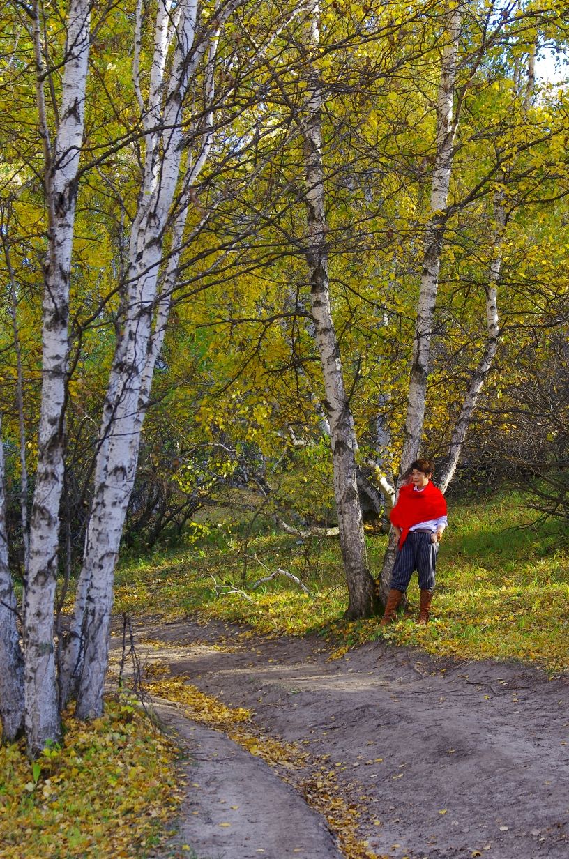 豐寧壩上草原,豐寧京北草原