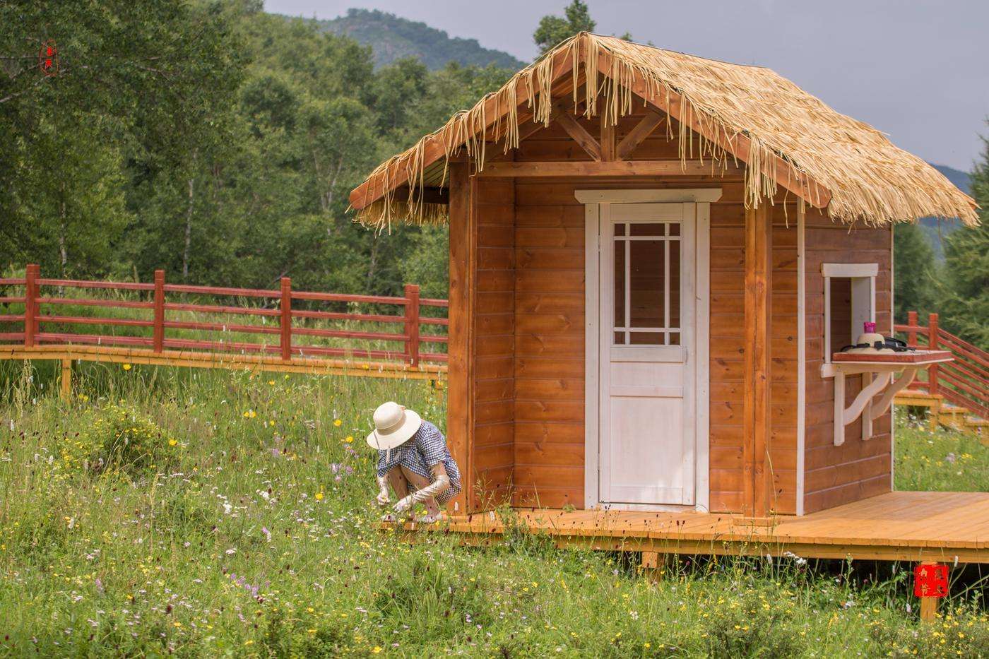 神仙谷七彩森林風景
